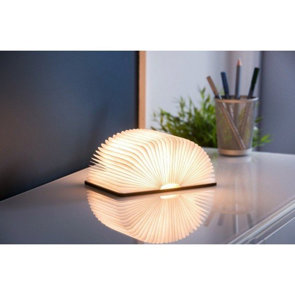 Brūns gaismas dekors ar USB Booklight – Gingko-image-1