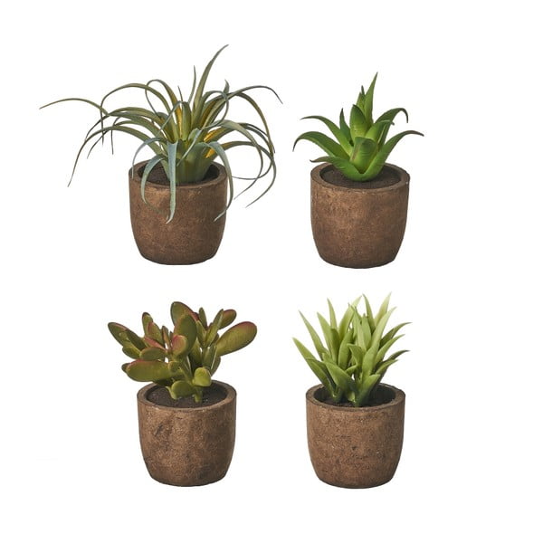 Mākslīgie augi (4 gab.) (augstums 10 cm) Cactus – Casa Selección