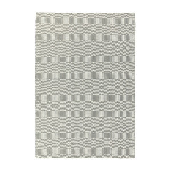 Gaiši pelēks vilnas paklājs 120x170 cm Sloan – Asiatic Carpets
