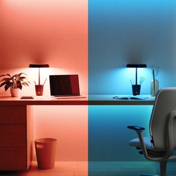 Viedais apgaismojums Cup – Umbra-image-1