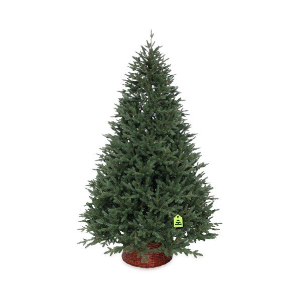 Mākslīgā Ziemassvētku eglīte augstums 150 cm Canadian Spruce 3D – Můj Stromeček-image-2