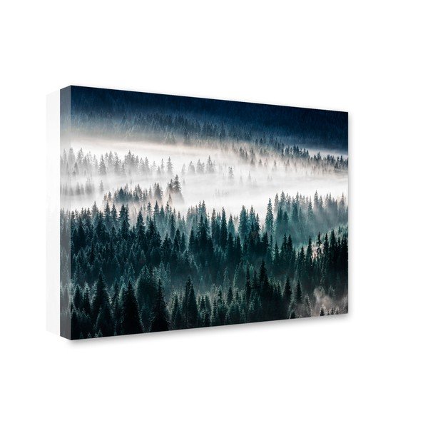 Image Styler Glasspik Misty Forest, 80 x 120 cm-image-1