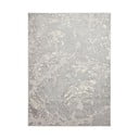 Pelēks/bēšs paklājs 170x120 cm Apollo – Think Rugs