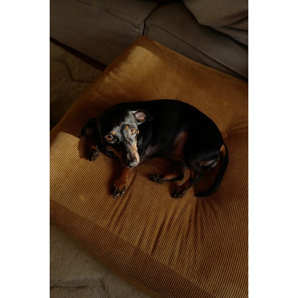 Gaiši brūns pufs More – Karup Design-image-4