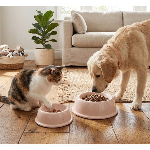 Māla mājdzīvnieku bļodiņa mājdzīvniekiem ø 16 cm – Casafina-image-1