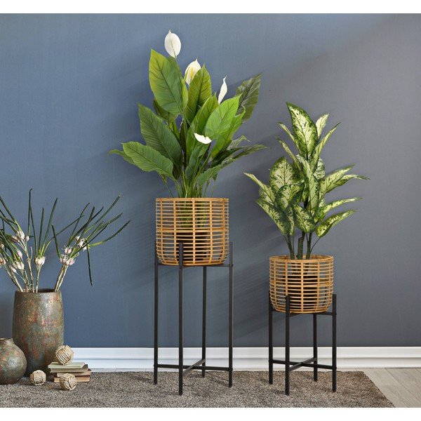 2 rotangpalmas podiņu komplekts Mauro Ferretti, augustums 90 cm-image-1