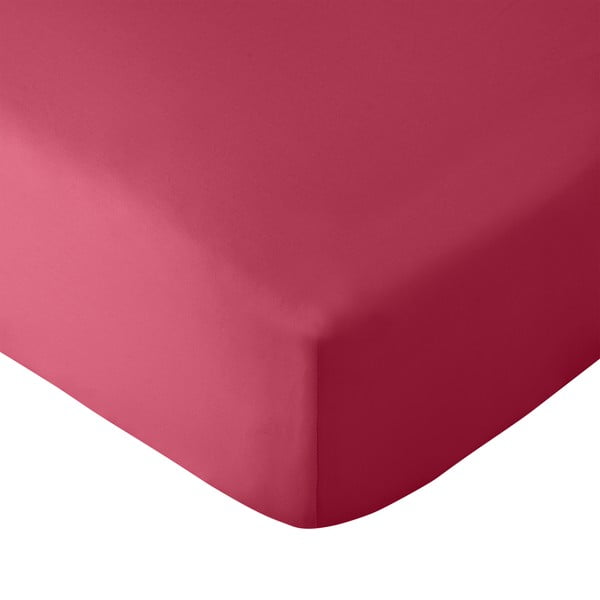 Tumši rozā palags ar gumiju 135x190 cm So Soft Easy Iron – Catherine Lansfield