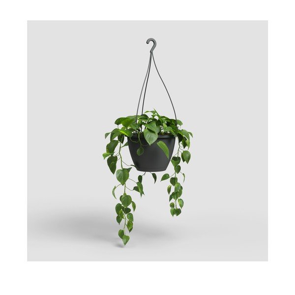 Plastmasas puķu pods ø 31 cm Algarve – Artevasi-image-4