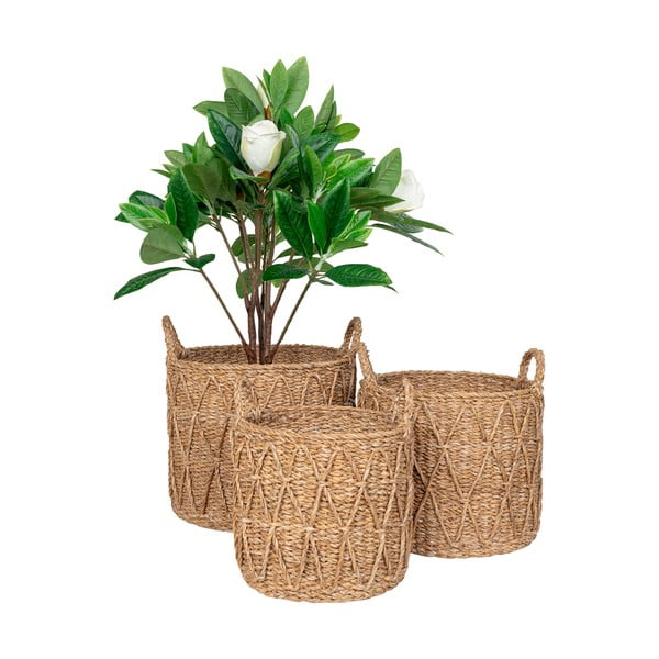 Uzglabāšanas grozi (3 gab.) no jūraszāles ø 32x30 cm Krabi – House Nordic-image-4