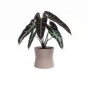 Keramikas puķu pods ø 14 cm Diana – Artevasi