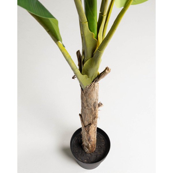 Mākslīgā palma (augstums 160 cm) Baa – Kave Home-image-2