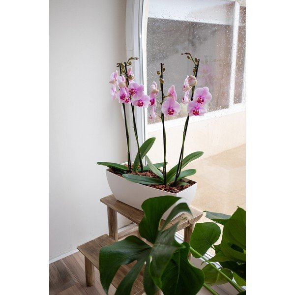 Pārstrādātas plastmasas puķu kaste 40 cm Siena – Artevasi-image-2