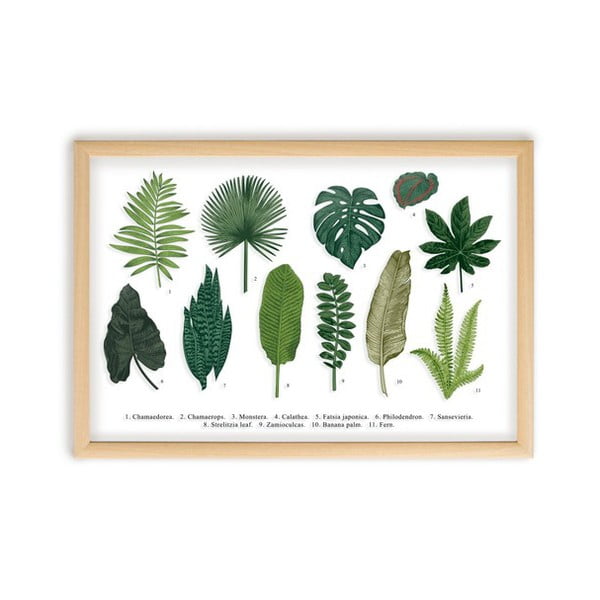 Attēls ar priedes koka rāmi Surdic Leafes Guide, 50 x 70 cm