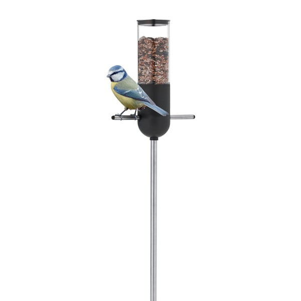 Putnu barotava Blomus Birdie