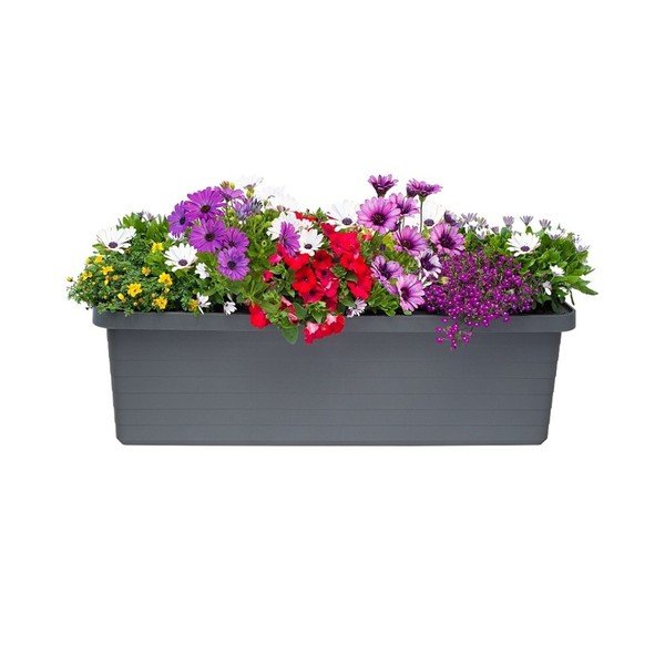 Antracīta pelēks liela tilpuma pašlaistošs puķu pods Plastia Berberis TRIO, 72 l-image-1