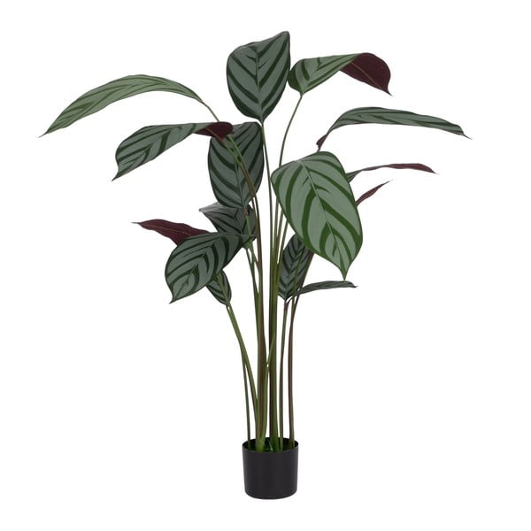 Mākslīgais augs (augstums 150 cm) Calathea – Ixia
