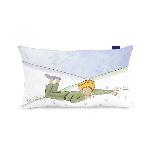 Divpusēja kokvilnas spilvendrāna Mr. Fox Son Monde, 50 x 30 cm-image-3