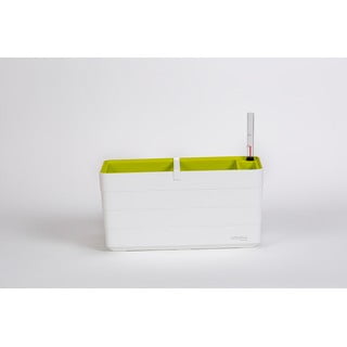 Balta pašlaistoša puķu kaste, garums 40 cm Berberis – Plastia