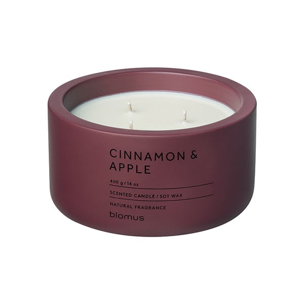 Aromātiskā sojas vaska svece degšanas laiks 25 h Fraga: Cinnamon & Apple – Blomus