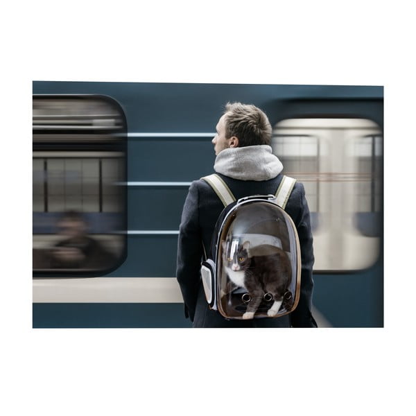 Pārvadāšanas soma mājdzīvniekiem 28x33 cm – Love Story-image-3