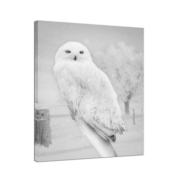 Styler audekls Nordic Owl, 75 x 100 cm