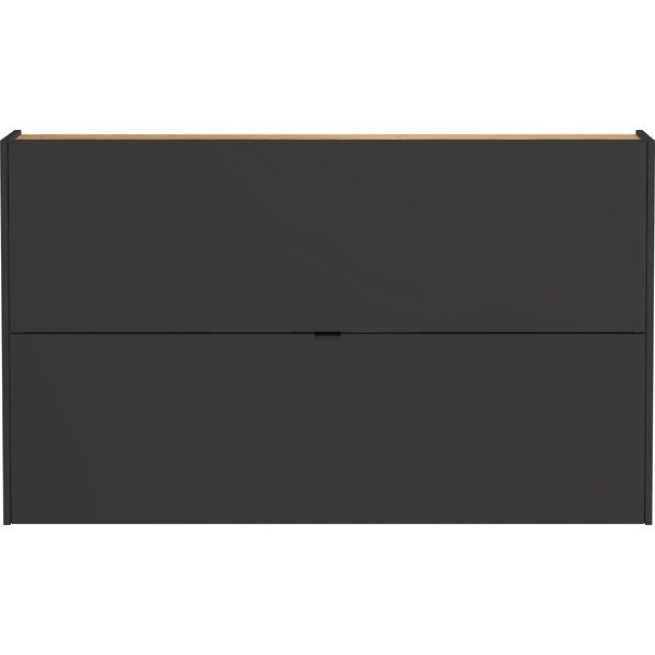 Antracīta pelēka priekšnama iekārta Ameca – Germania-image-1