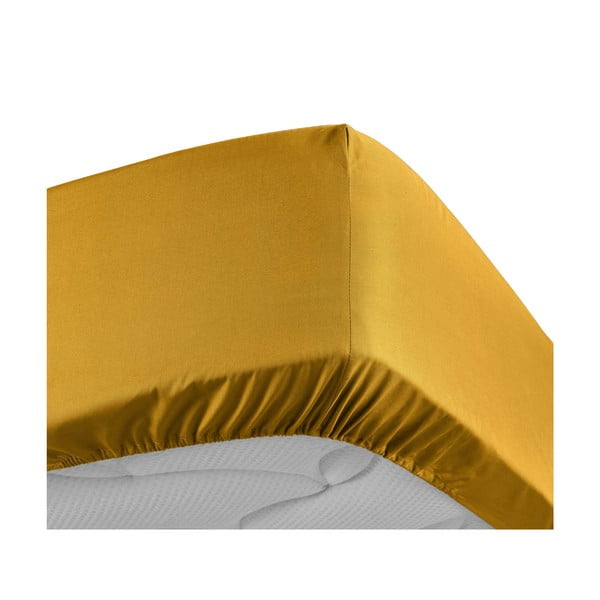 Dzeltens palags no kokvilnas perkala ar gumiju 180x200 cm Percaline – douceur d'intérieur-image-3