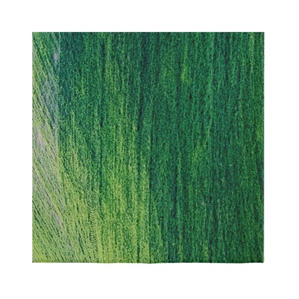 Zaļš paklājs Oyo home Suzzo Garto, 80 x 150 cm-image-1