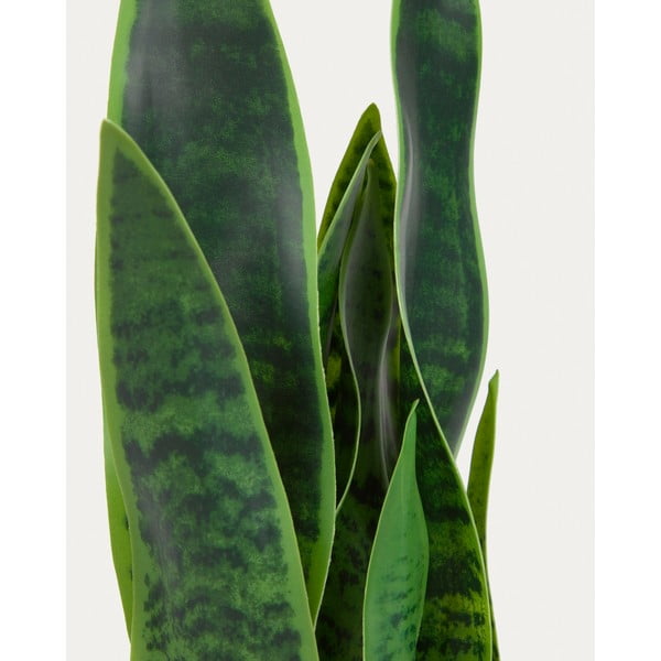 Mākslīgais augs (augstums 55 cm) Sansevieria – Kave Home-image-3