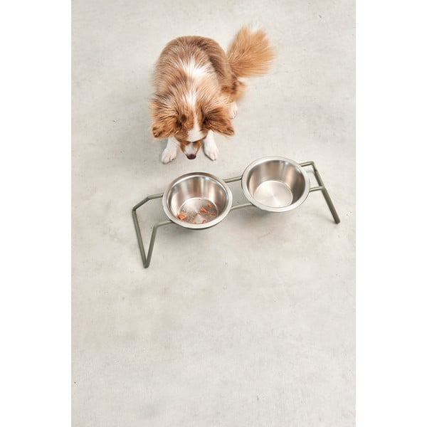 Nerūsējošā tērauda bļodiņu komplekts ar pamatni suņiem Cena Grollive M – MiaCara-image-3