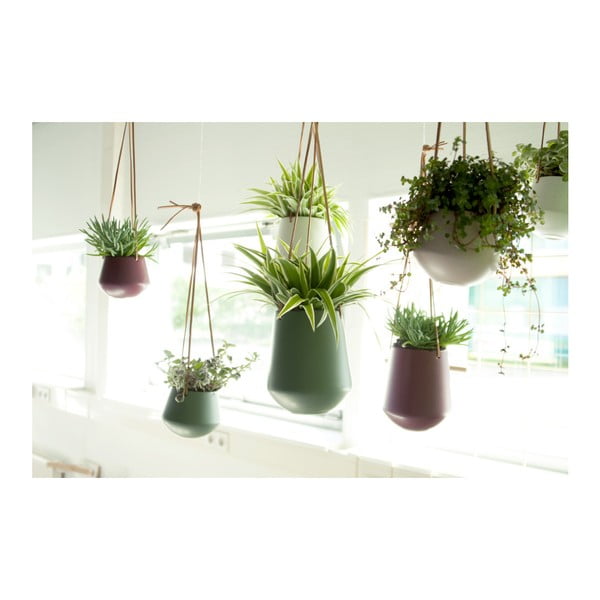 Keramikas piekaramais puķu pods ø 12 cm Skittle – PT LIVING-image-3