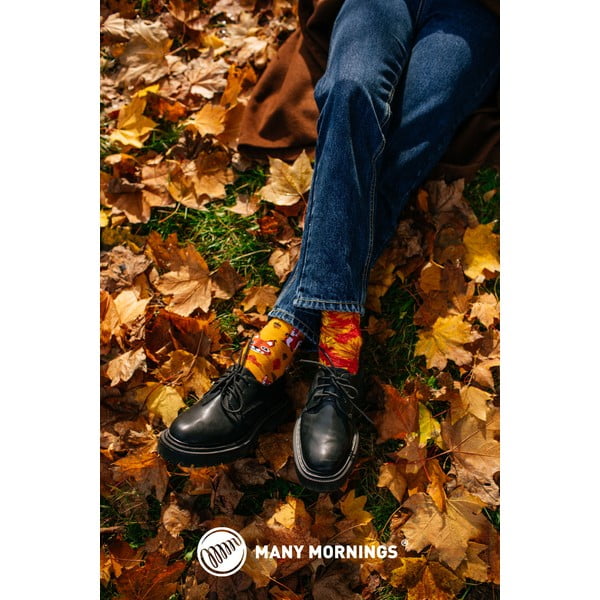 Zeķes Many Mornings The Squirrels, izmērs 35-38-image-2