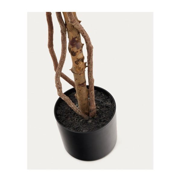 Mākslīgais fikuss (augstums 180 cm) Ficus – Kave Home-image-2