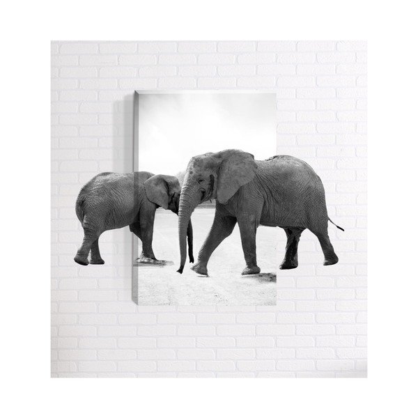 3D sienas glezna Mosticx Zilonis, 40 x 60 cm