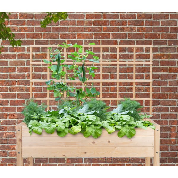 Režģis vīteņaugiem – Esschert Design-image-1