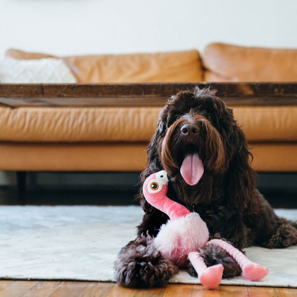 Rotaļlieta sunim Flamingo - P.L.A.Y.-image-1