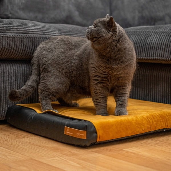 Dzeltens matrača pārvalks suņiem 50x40 cm Ori S – Rexproduct-image-1