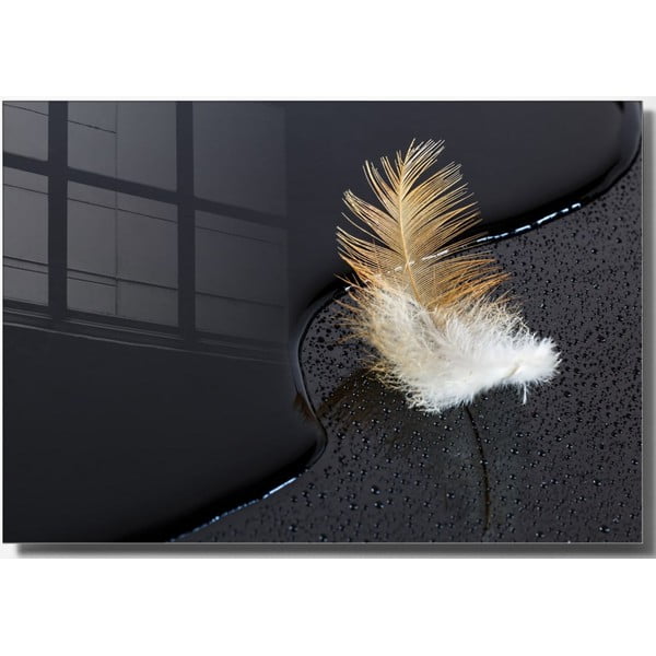Stikla glezna 100x70 cm Feather – Wallity