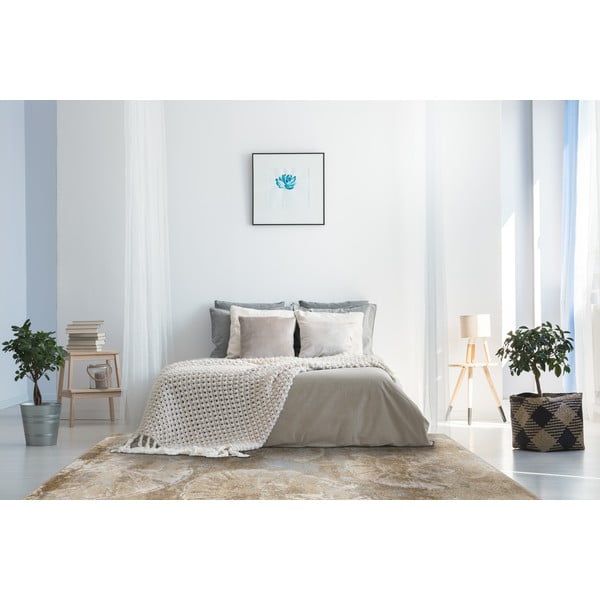 Bēšs paklājs 160x220 cm Avanti – FD-image-2