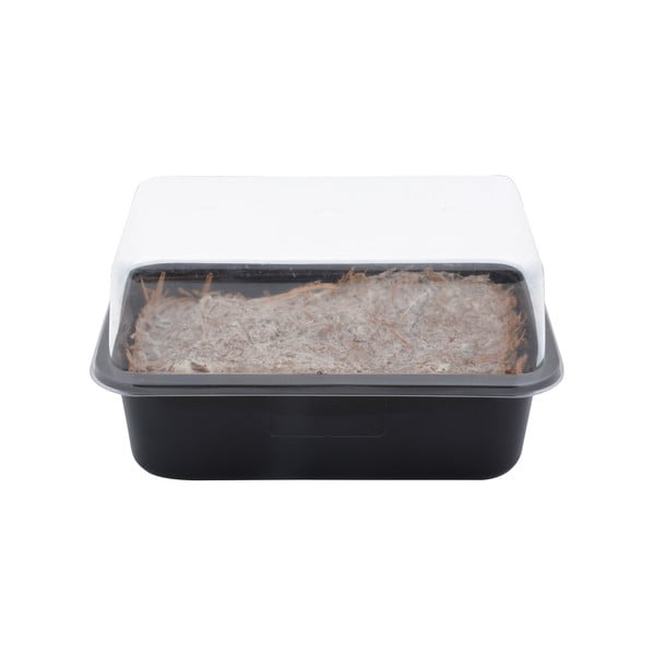 Stādīšanas maiss Field Mushroom – Esschert Design-image-3