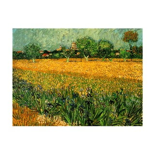 Gleznas reprodukcija Vincent van Gogh – View of arles with irises in the foreground, 40 x 30 cm
