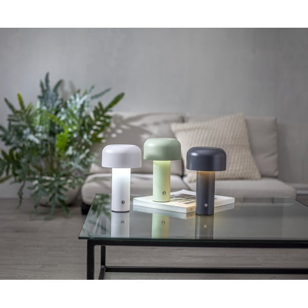 Pelēka LED galda lampa (augstums 21,5 cm) Bobby – Star Trading-image-2