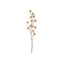 Mākslīgais augs (augstums 68 cm) Poppy Berry – PT LIVING