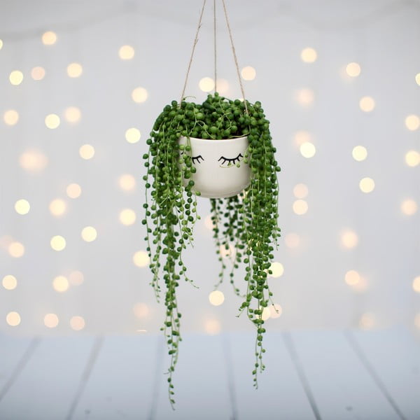 Iekaramais puķu pods Sass & Belle Eyes Shut-image-2