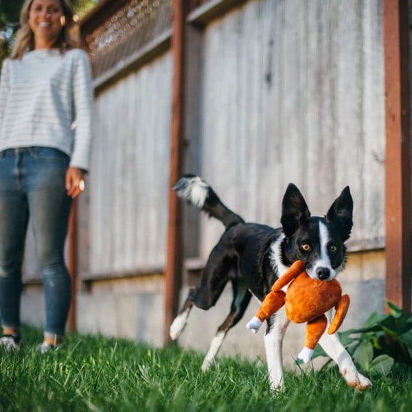 Rotaļlieta sunim Turcija - P.L.A.Y.-image-1