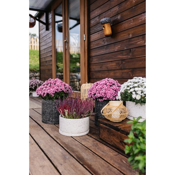 Tumši pelēks puķu pods Bonami Selection Terrazzo, ø 34 cm-image-2