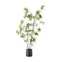 Mākslīgais augs (augstums 160 cm) Palmatum – Bloomingville