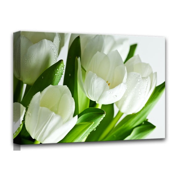 Attēla Styler Audekls White Tulips, 60 x 80 cm