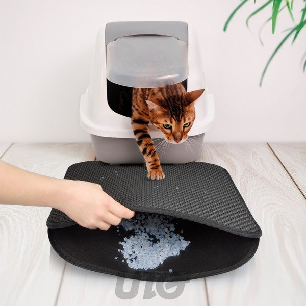 Kaķu tualete 50x40 cm – Love Story-image-1