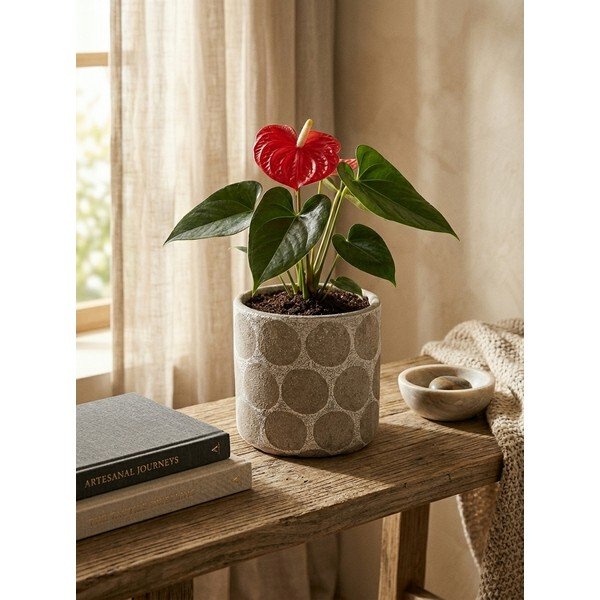 Terakotas ar rokām radīts puķu poda apvalks ø 12 cm Felan – Bloomingville-image-2